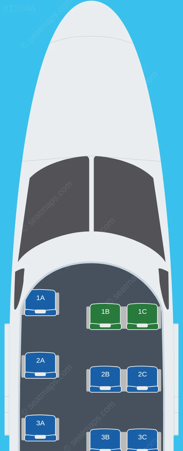 Azul Brazilian Airlines Cessna 208B Grand Caravan seatmap preview