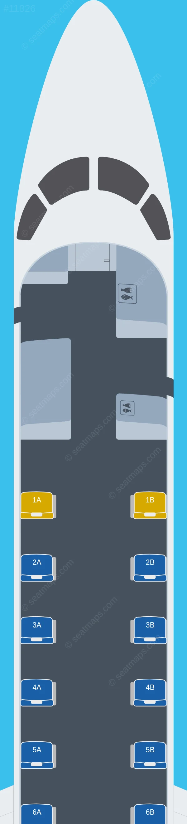 Travelcoup Embraer ERJ 145 seatmap preview